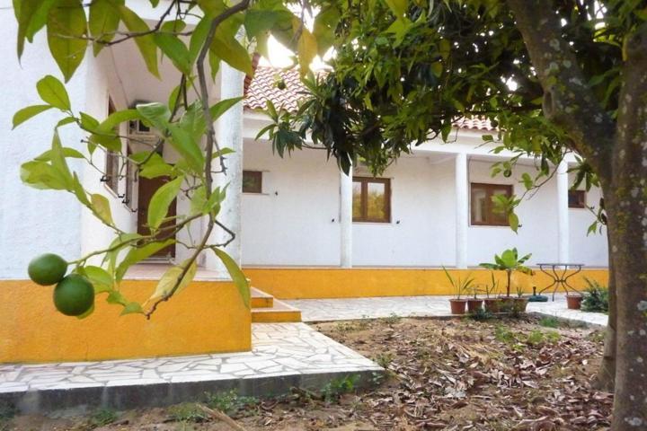 Quinta Laranjal Da Arrabida Bed and Breakfast Palmela Εξωτερικό φωτογραφία