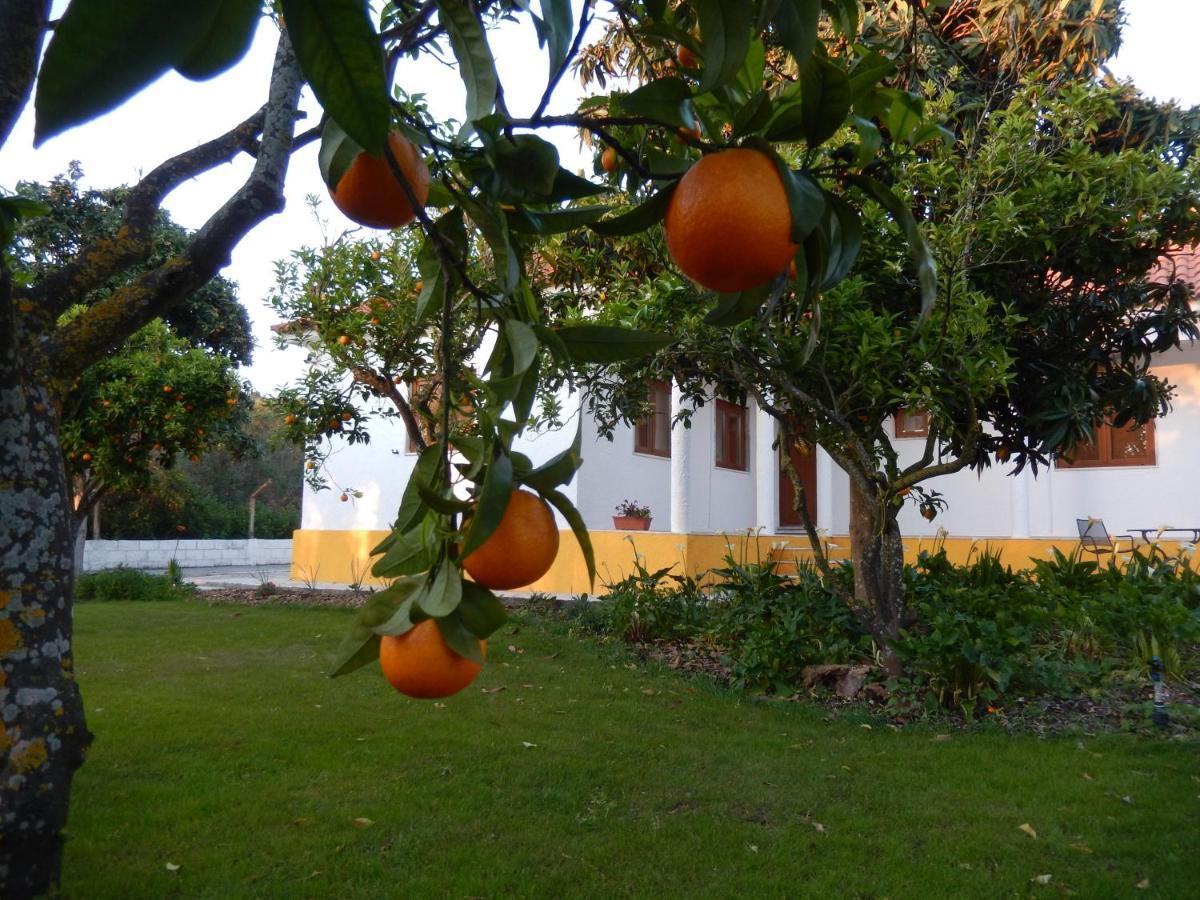 Quinta Laranjal Da Arrabida Bed and Breakfast Palmela Εξωτερικό φωτογραφία