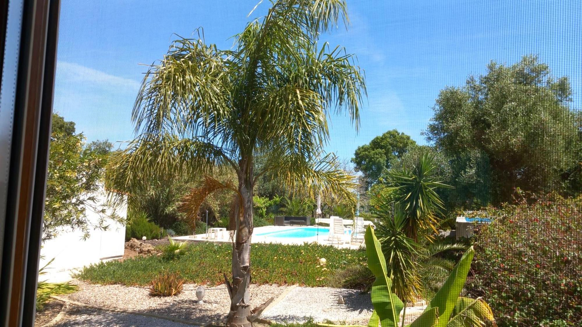 Quinta Laranjal Da Arrabida Bed and Breakfast Palmela Εξωτερικό φωτογραφία